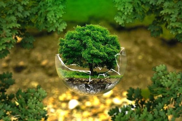 Comment l'agriculture durable peut-elle contribuer à la protection de l'environnement ?