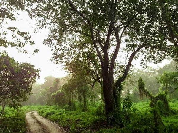 L'importance des énergies renouvelables dans la préservation de la biodiversité