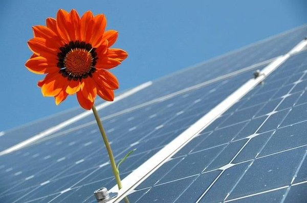 Les initiatives pour la protection des espèces et l'utilisation de l'énergie solaire